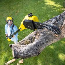 Lawn Irrigation Installation and Maintenance in Chula Vista, TX